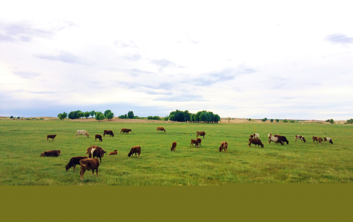 美翻了我的村第74期 | 內(nèi)蒙古自治區(qū)烏審旗嘎魯圖鎮(zhèn)：文明新風(fēng)撲面來(lái)大漠小鎮(zhèn)展新顏